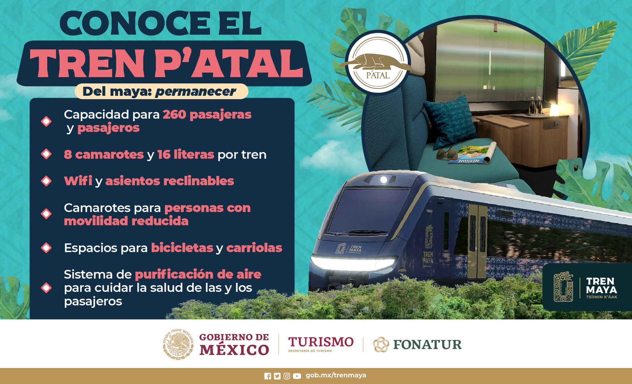 TREN MAYA, VAGON PATAL