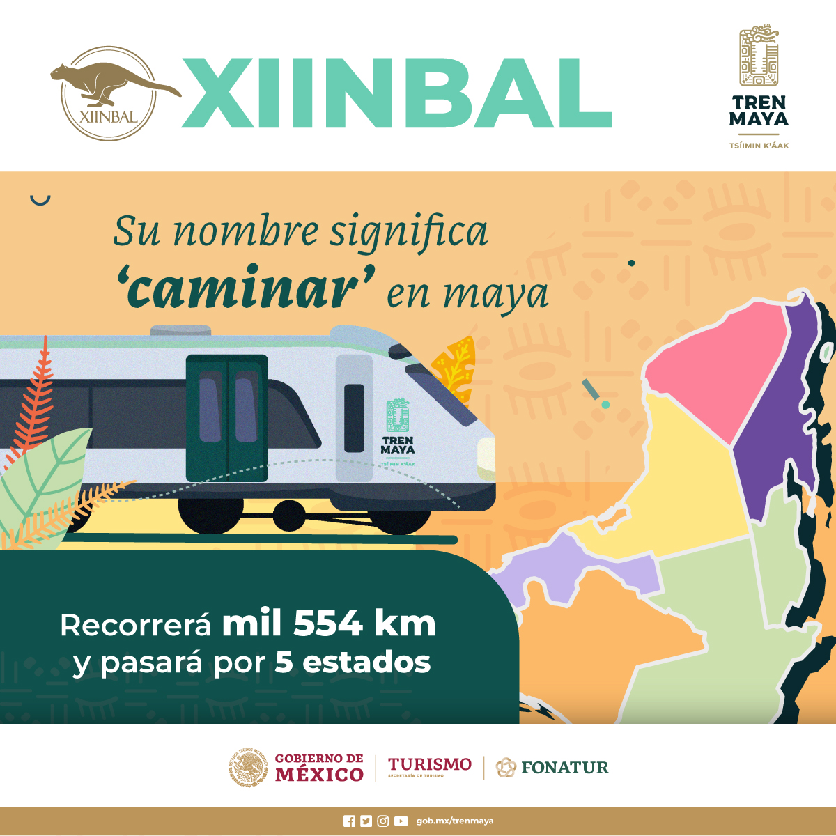 CONOCE EL TREN MAYA XIINBAL, EL SERVICIO ESTANDAR DEL TREN MAYA