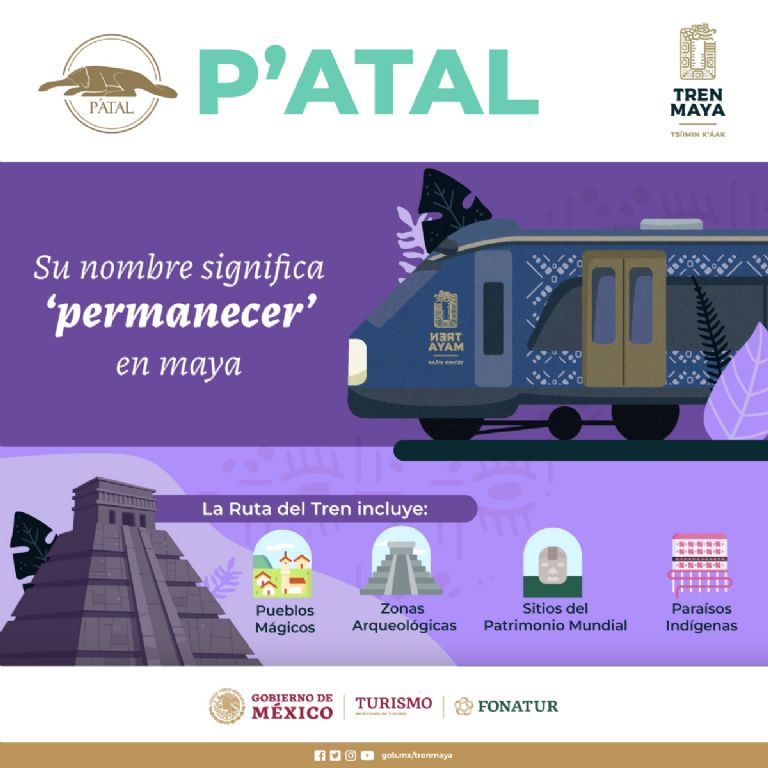 CONOCE EL TREN MAYA, VAGON PATAL