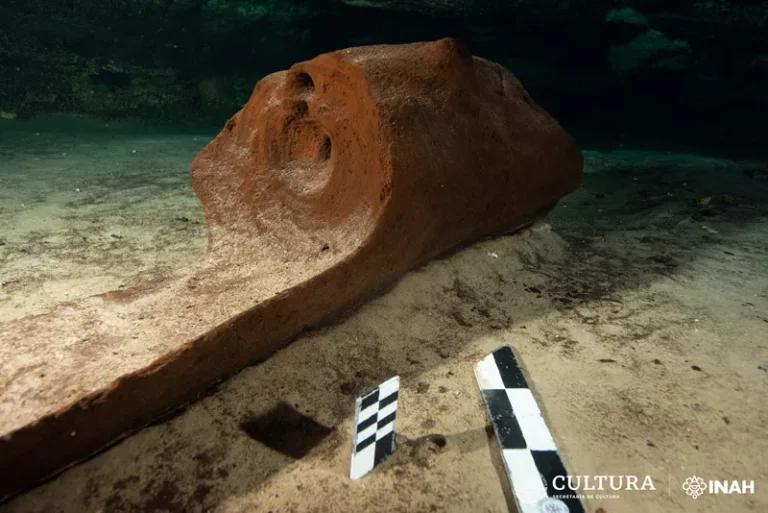 Canoa encontrada en excavaciones del Tren Maya